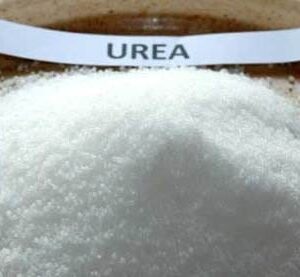 Urea Nitrogen